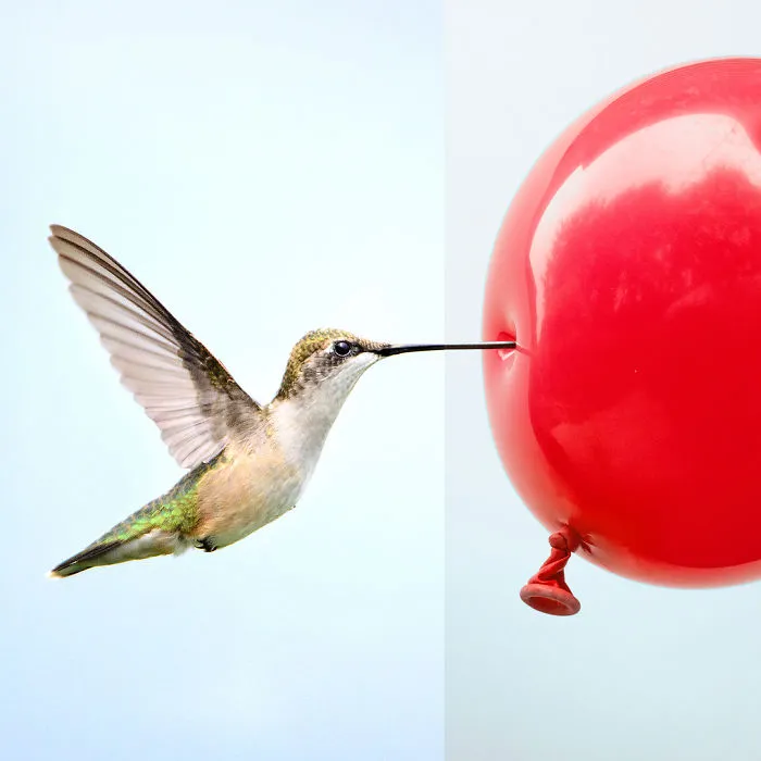 30 Mind-Bending And Funny Photo Mash-Ups By Stephen Mcmennamy (New Pics)