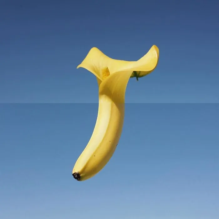 30 Mind-Bending And Funny Photo Mash-Ups By Stephen Mcmennamy (New Pics)