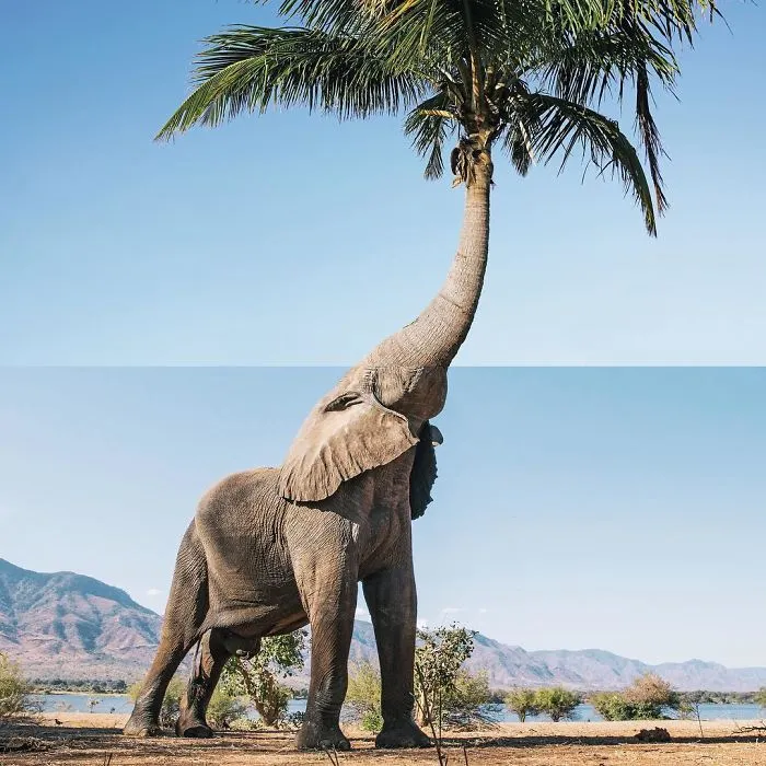 30 Mind-Bending And Funny Photo Mash-Ups By Stephen Mcmennamy (New Pics)