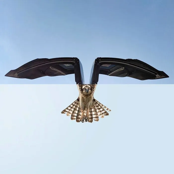30 Mind-Bending And Funny Photo Mash-Ups By Stephen Mcmennamy (New Pics)