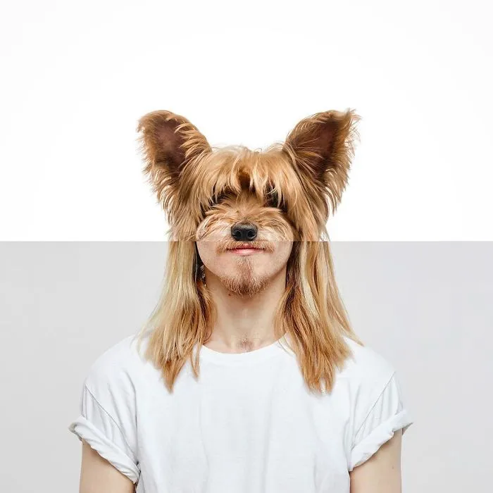 30 Mind-Bending And Funny Photo Mash-Ups By Stephen Mcmennamy (New Pics)