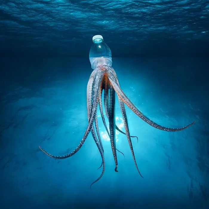 30 Mind-Bending And Funny Photo Mash-Ups By Stephen Mcmennamy (New Pics)
