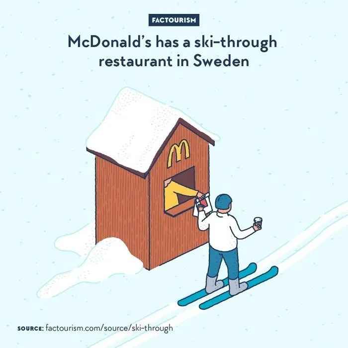 We Illustrated 40 Of The Most Fascinating Facts About Our World