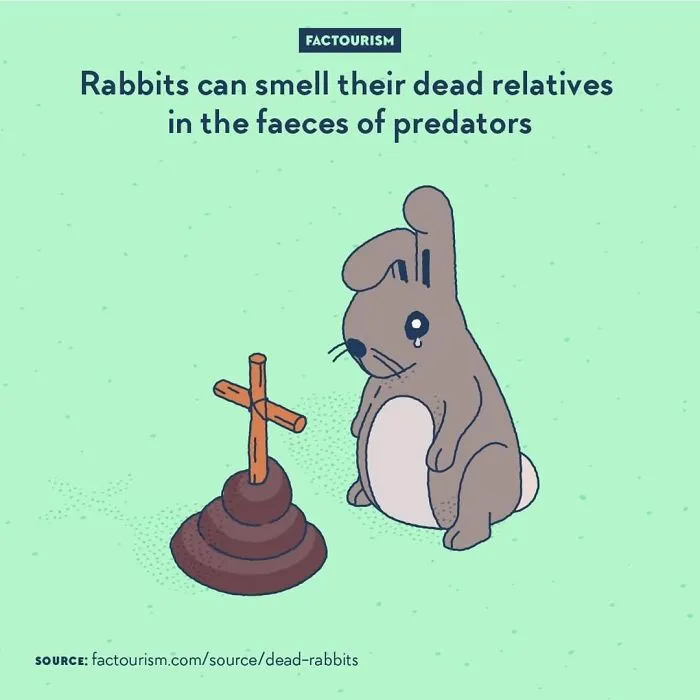 We Illustrated 40 Of The Most Fascinating Facts About Our World