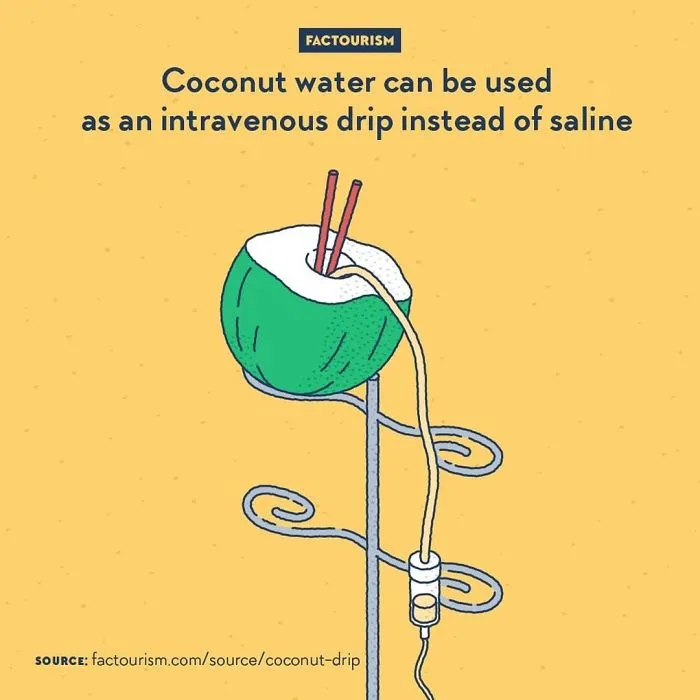 We Illustrated 40 Of The Most Fascinating Facts About Our World