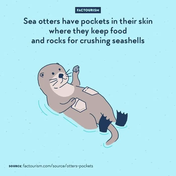 We Illustrated 40 Of The Most Fascinating Facts About Our World