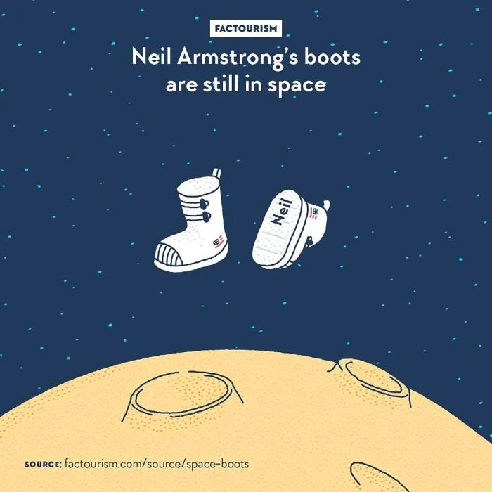 We Illustrated 40 Of The Most Fascinating Facts About Our World