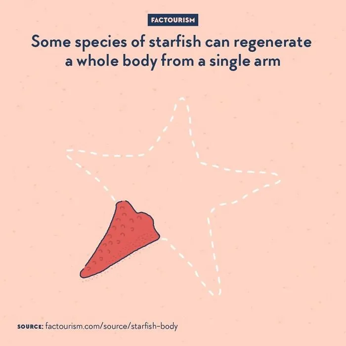 We Illustrated 40 Of The Most Fascinating Facts About Our World