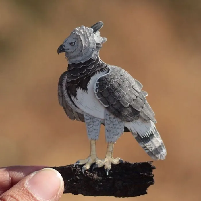 We Make Paper Cut Miniature Animals and One Takes 4 To 6 Hours To Complete