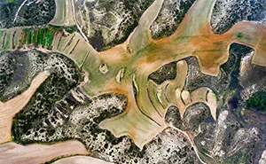 I Photographed Dry Spanish Farmlands That Resemble The Paintings Of Picasso, Miró, And Dalí