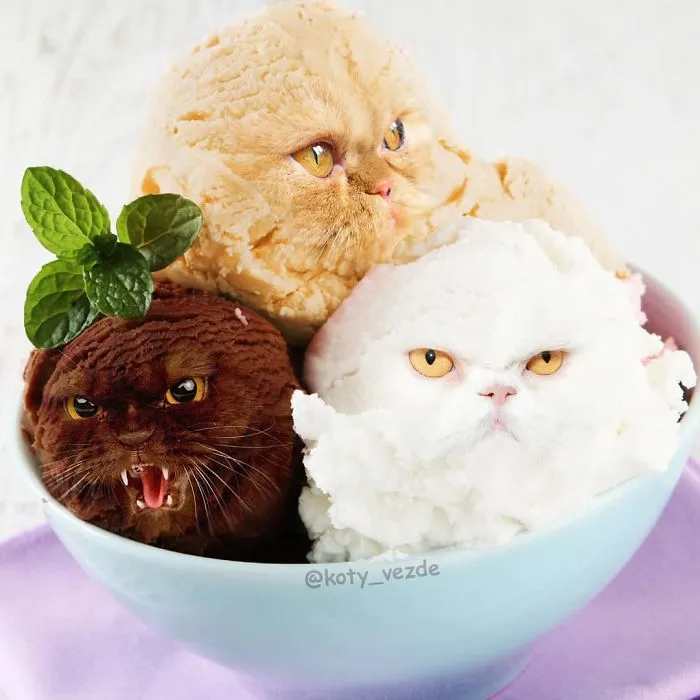 Someone Imagines What Everything Would Look Like If It Had A Cat's Face And The Result Is Funny Yet Disturbing