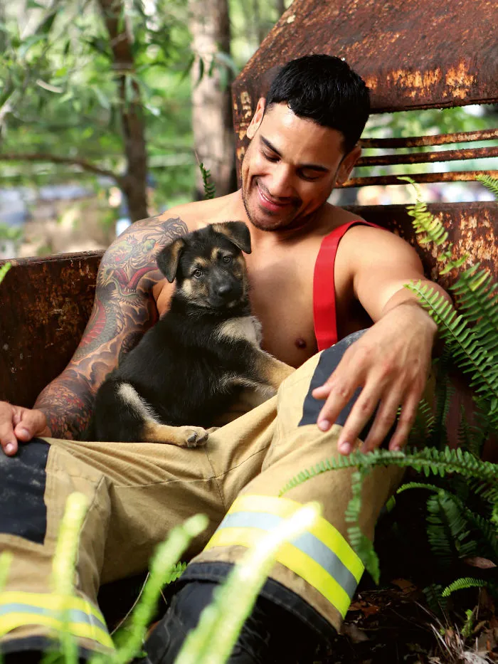 Australian Firefighters Pose With Animals For 2020 Charity Calendar, And The Photos Are So Hot They May Start Fires