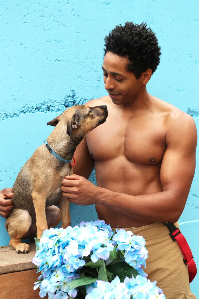 Australian Firefighters Pose With Animals For 2020 Charity Calendar, And The Photos Are So Hot They May Start Fires