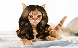 Funny Images Of Random Animals Wearing Wigs