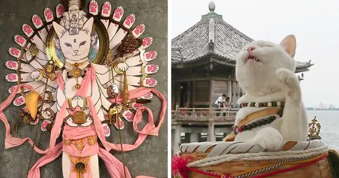 There Is A Cat Temple In Japan And Its Monks Are The Cutest