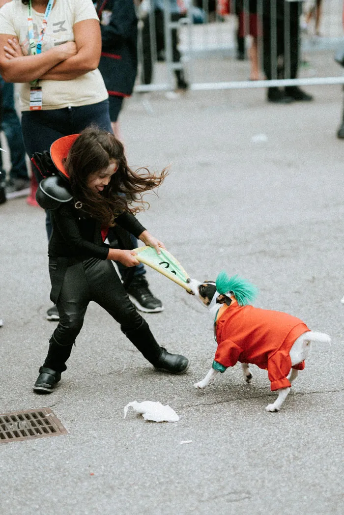 Katana & Joker