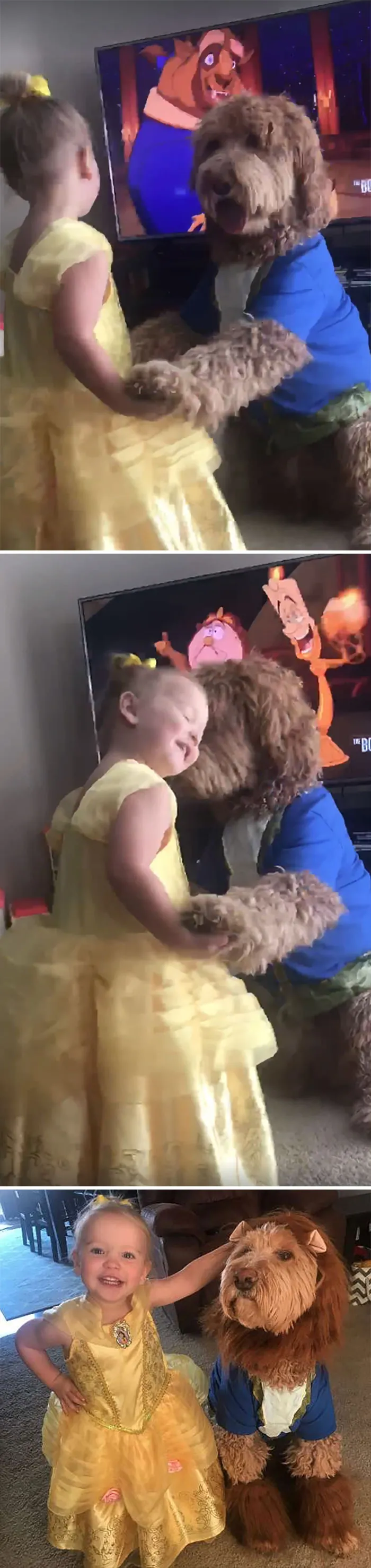 Hemos visto la Bella y la Bestia demasiadas veces. Tiene suerte de tener una Bestia adorable