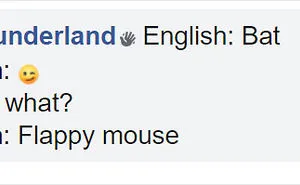 People Are Sharing Hilarious Literal Translations, And Here Are 30 Of The Best Ones