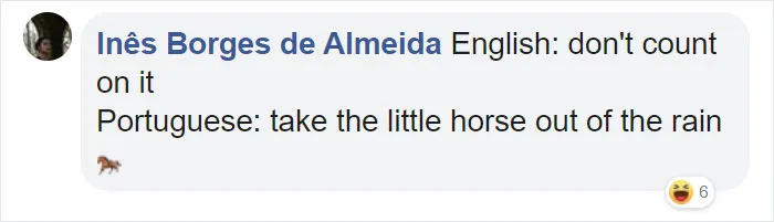 People Are Sharing Hilarious Literal Translations, And Here Are 30 Of The Best Ones