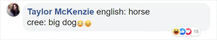 People Are Sharing Hilarious Literal Translations, And Here Are 30 Of The Best Ones