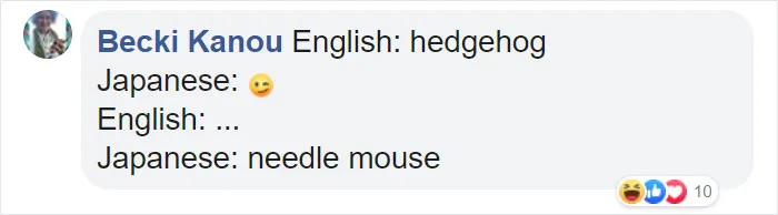 People Are Sharing Hilarious Literal Translations, And Here Are 30 Of The Best Ones