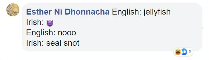 People Are Sharing Hilarious Literal Translations, And Here Are 30 Of The Best Ones
