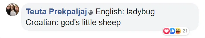 People Are Sharing Hilarious Literal Translations, And Here Are 30 Of The Best Ones