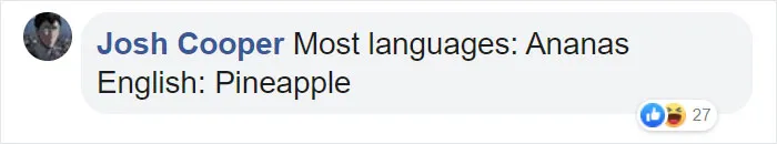 People Are Sharing Hilarious Literal Translations, And Here Are 30 Of The Best Ones