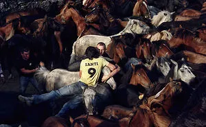 The World’s Largest Photography Competition Announced 100 Finalists From Over A Million Entries And Here's 30 Of Them