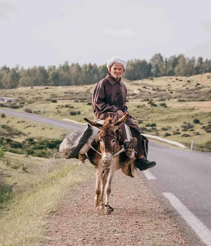 Tanya Walton, The Traveler Category