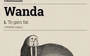 13 Names With Strange Meanings That You'd Never Expect