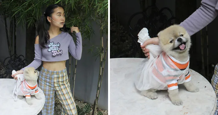 Doggo And Human Wear Pixar Themed Halloween Costumes