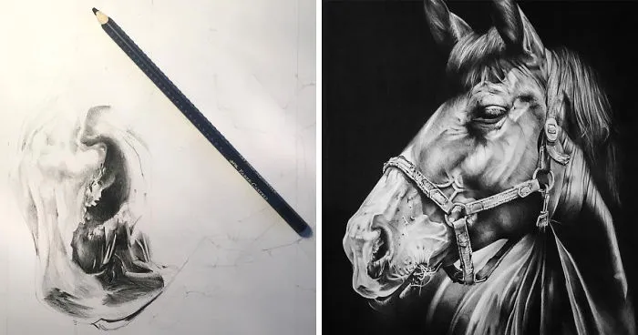 It Took Me 25 Hours To Draw This Horse Using Only Colored Pencils