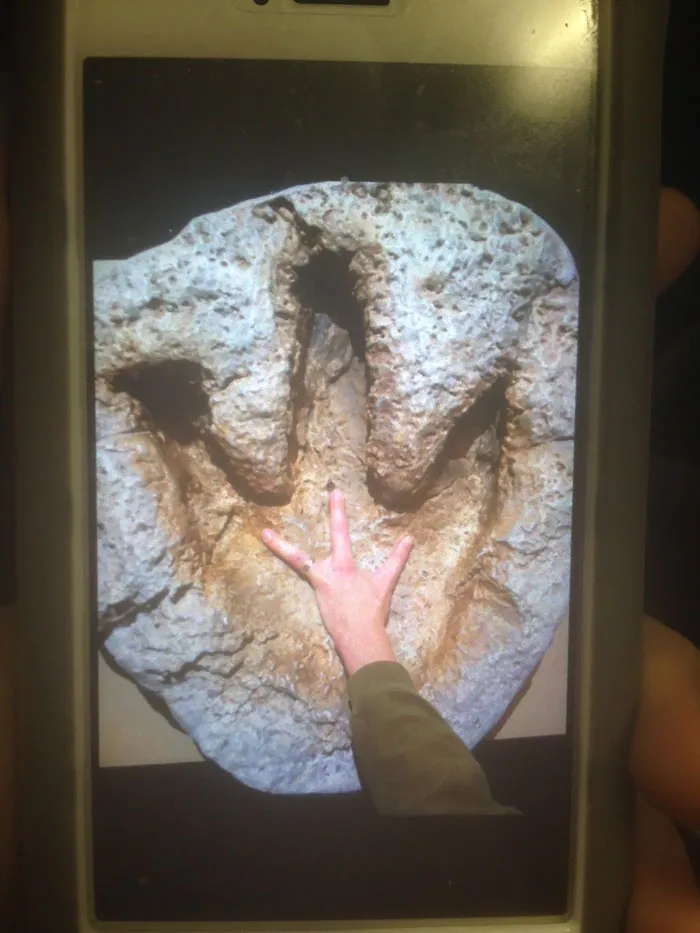 Mi profesor solo tiene 3 dedos en una mano, y se aprovechó de ello en la visita al museo