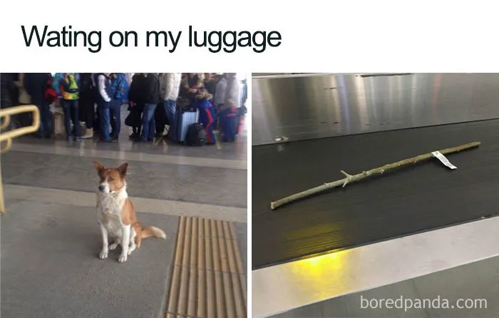 30 Airport And Travel Memes For Everyone Who Has Traveled At Least Once