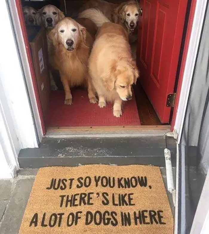 Honest Doormat
