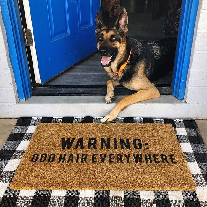 ADVERTENCIA: Pelo de perro en todas partes