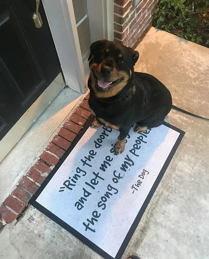 We Got A New Front Doormat And She’s Happy About It