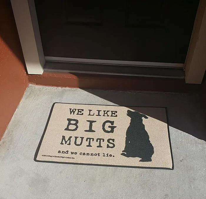 NOS GUSTAN LOS PERROS GRANDES y no podemos mentir.