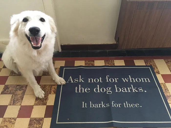 Loving The Doormat So Much