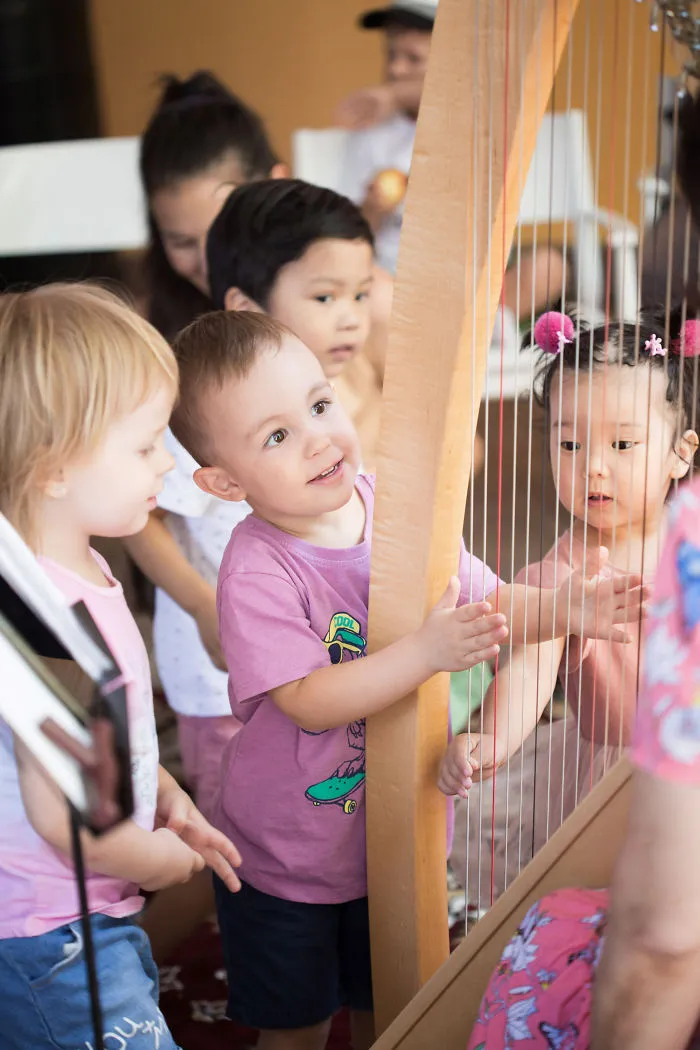 Harp Learning