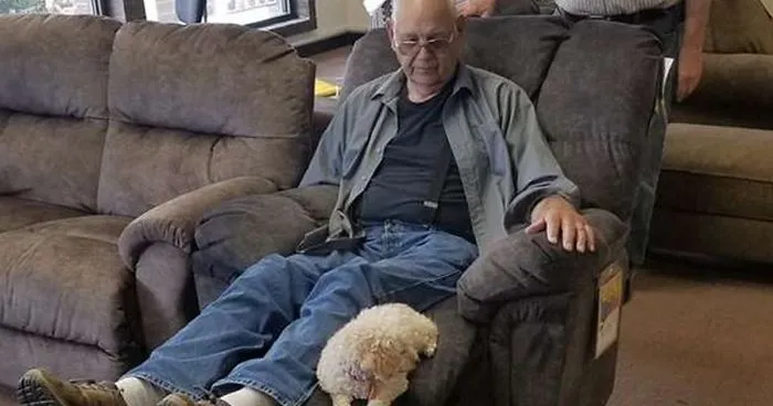 Grandpa Brings His Little Dog To Test Out Armchairs Because She Always Sits By His Side