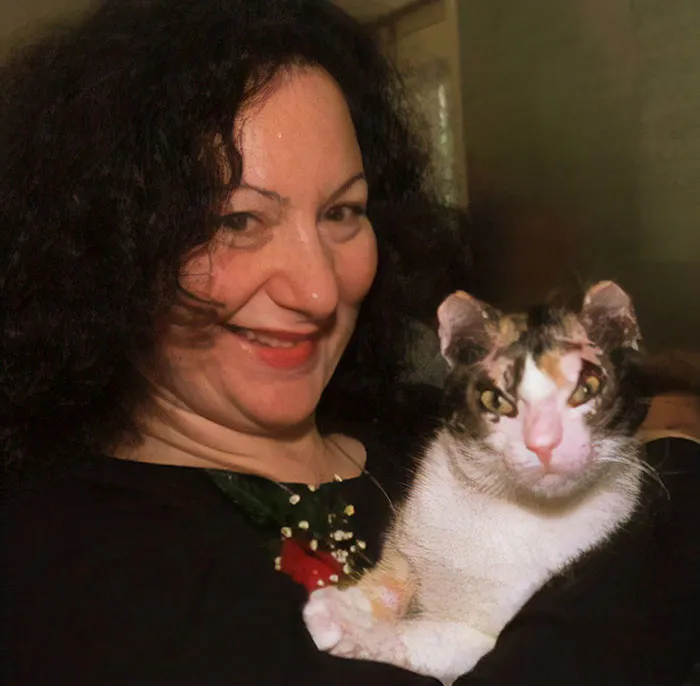 Scarlett, A Cat Who Rescued Her Kittens From A Fire, Suffering Severe Burns In The Process