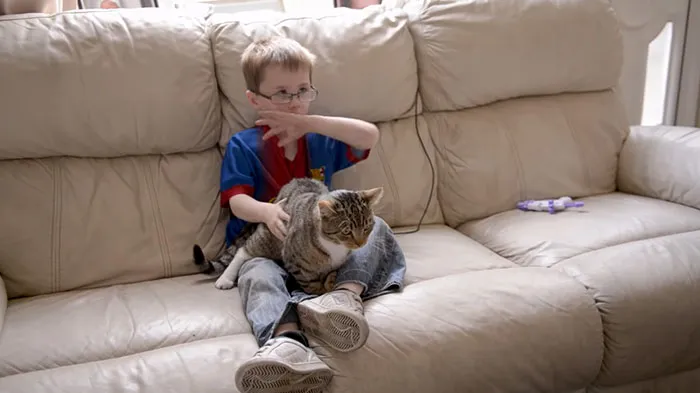 Smudge, A Kitty Who Chased Off Bullies Who Were Attacking Her 5-Year-Old Owner