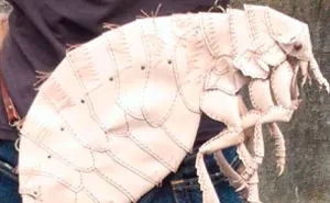 Japanese Artist Makes Realistic Creature-Inspired Handbags And Other Accessories That Look Too Real (35 Pics)