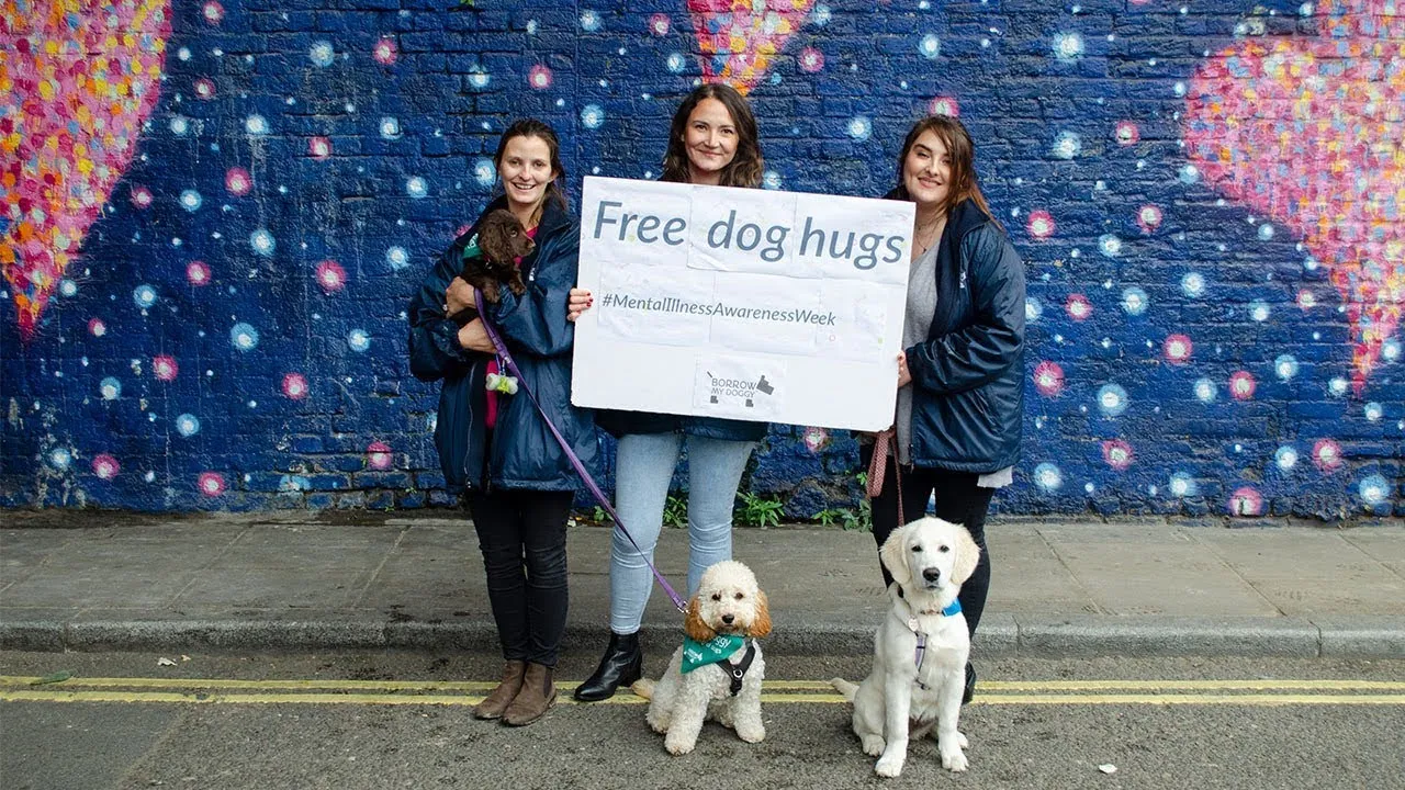 Free Dog Hugs With Borrowmydoggy