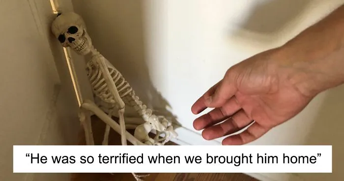 'He Was So Terrified When We Brought Him Home 2 Days Ago:' Man 'Rescues' An Abandoned Skeleton Decoration