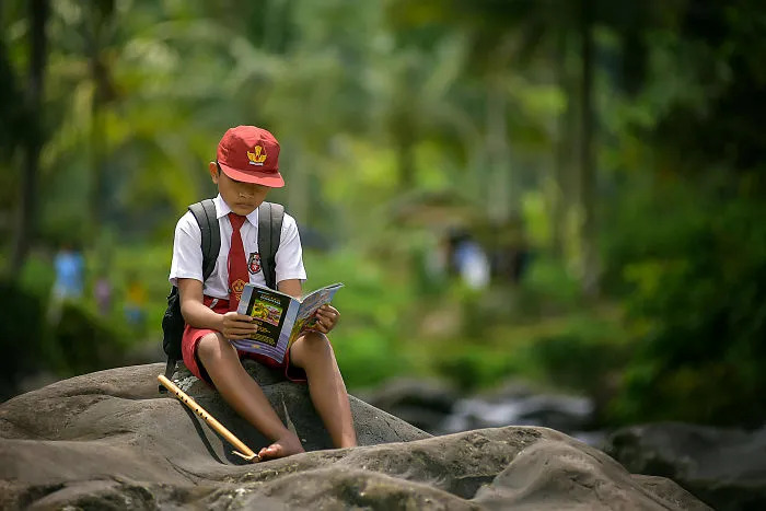 Nature School