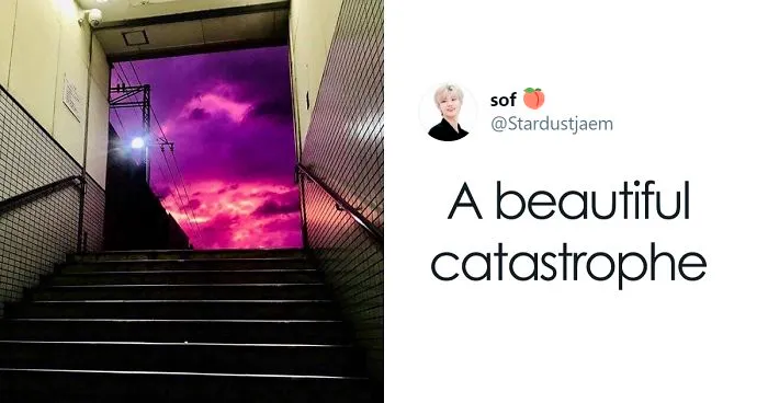 People In Japan Were Admiring The Incredibly Purple Sky, But It's A Sign Of A Typhoon
