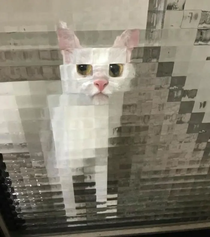 25 Times People Spotted Pixel Cats In Real Life And Just Had To Share